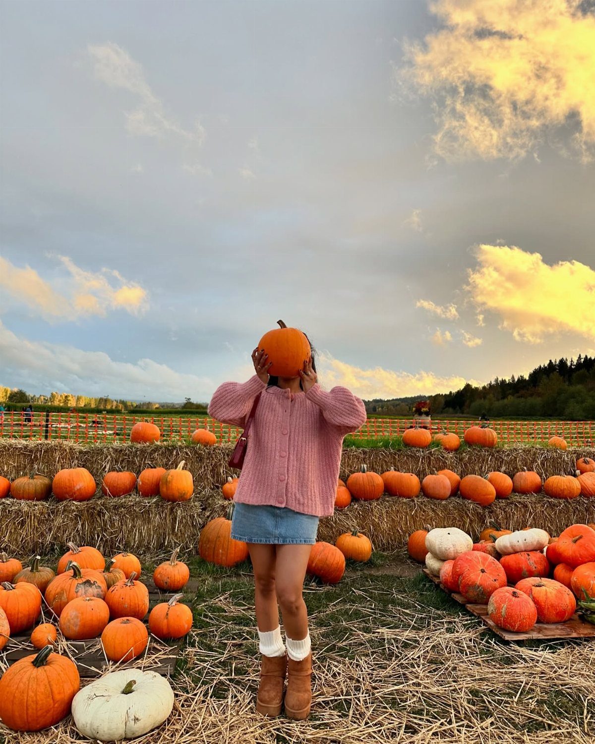 Person in a pink cardigan and denim mini skirt holding a pumpkin in a field.