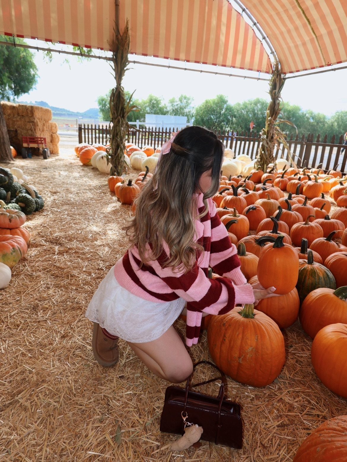 A woman in a striped sweater and white skirt kneels among pumpkins in a patch.
